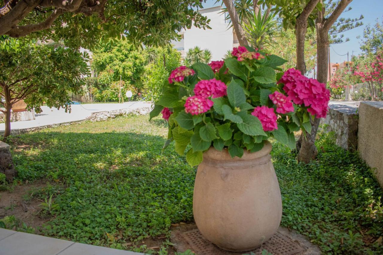 Evdokia Αpartments & Dimitra Village Agia Marina Exteriér fotografie