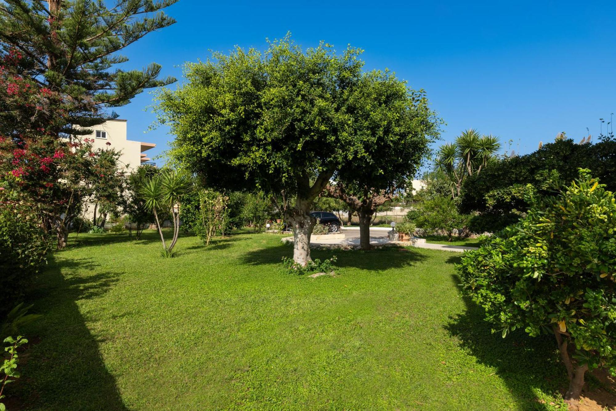Evdokia Αpartments & Dimitra Village Agia Marina Exteriér fotografie