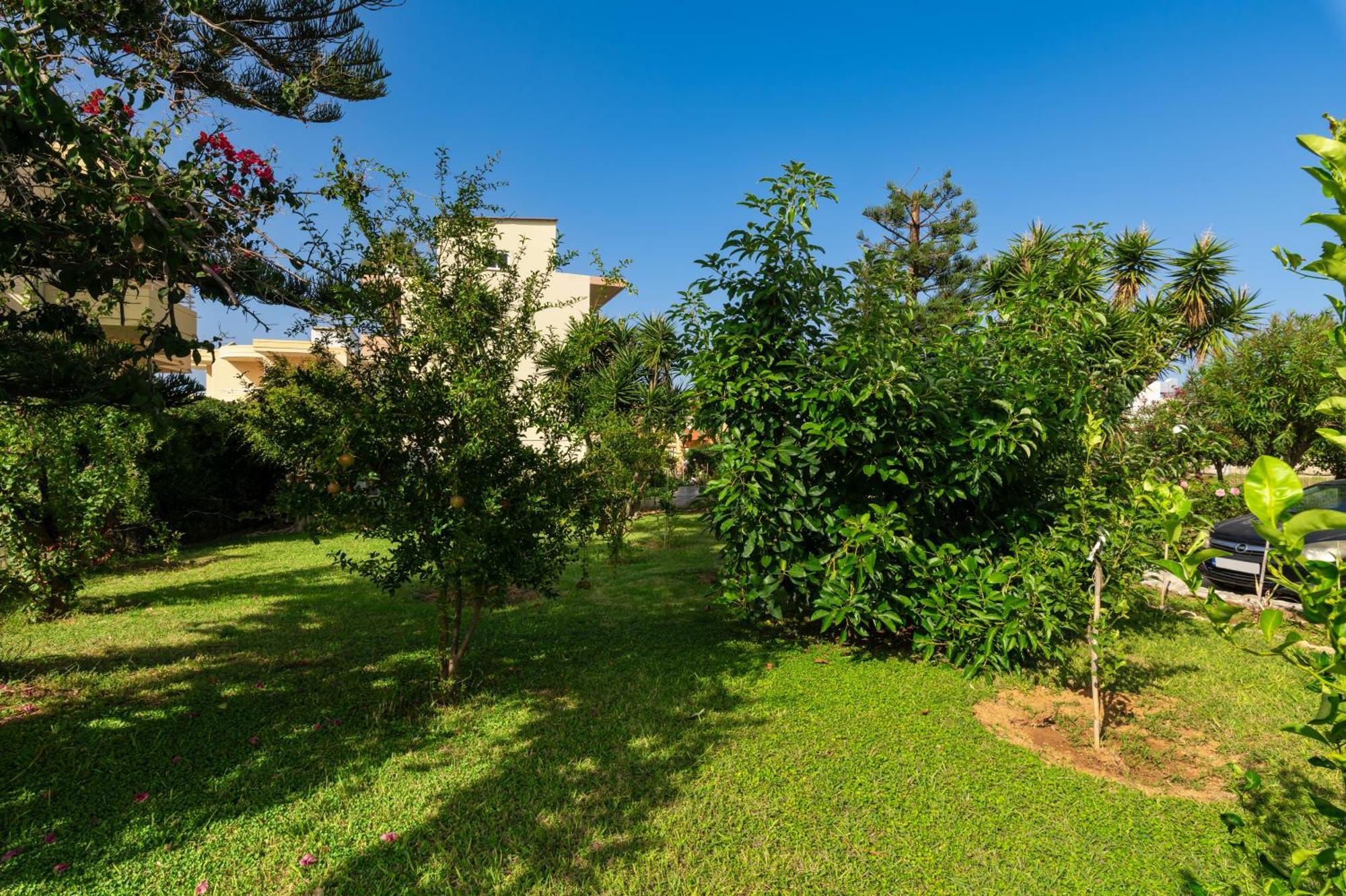 Evdokia Αpartments & Dimitra Village Agia Marina Exteriér fotografie